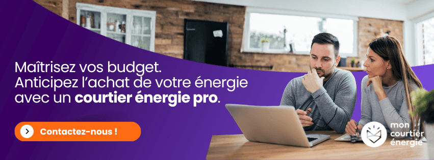 expert du secteur de l'énergie.png